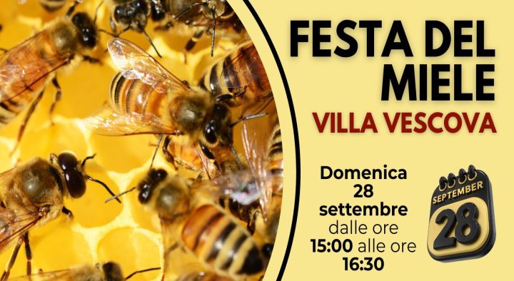 Festa del miele